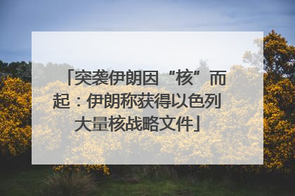 突袭伊朗因“核”而起：伊朗称获得以色列大量核战略文件