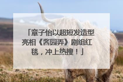 章子怡以超短发造型亮相《酱园弄》剧组红毯，冲上热搜！