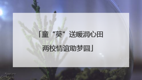 童“葵”送暖润心田 两校情谊助梦圆