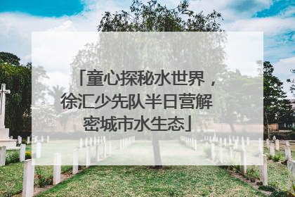 童心探秘水世界，徐汇少先队半日营解密城市水生态