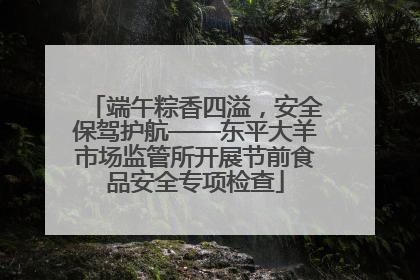 端午粽香四溢，安全保驾护航——东平大羊市场监管所开展节前食品安全专项检查
