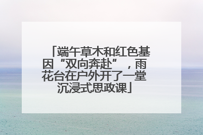 端午草木和红色基因“双向奔赴”，雨花台在户外开了一堂沉浸式思政课