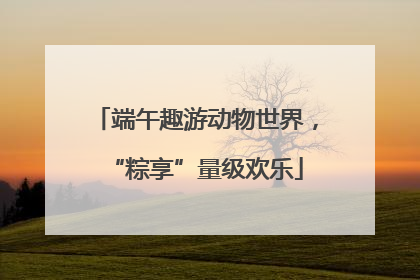 端午趣游动物世界，“粽享”量级欢乐
