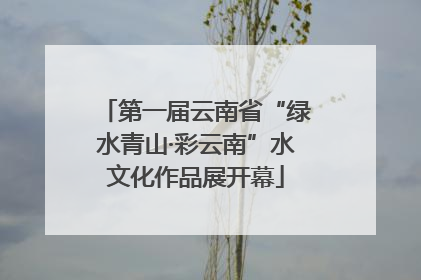 第一届云南省“绿水青山·彩云南”水文化作品展开幕