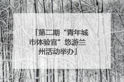 第二期“青年城市体验官”悠游兰州活动举办