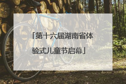第十六届湖南省体验式儿童节启幕