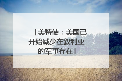 美特使：美国已开始减少在叙利亚的军事存在