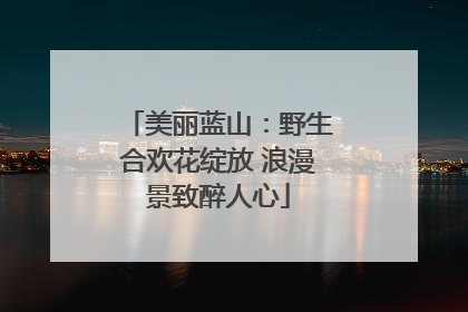 美丽蓝山：野生合欢花绽放 浪漫景致醉人心