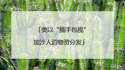 美以“插手包揽”加沙人道物资分发