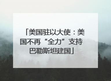 美国驻以大使：美国不再“全力”支持巴勒斯坦建国