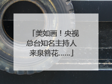 美如画！央视总台知名主持人来泉簪花……