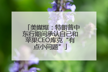 美媒爆：特朗普中东行期间承认自己和苹果CEO库克“有点小问题”
