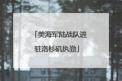 美海军陆战队进驻洛杉矶执勤