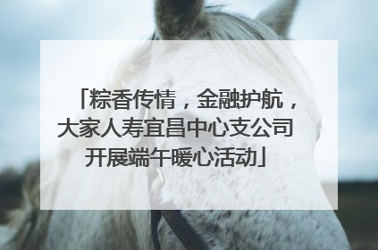 粽香传情，金融护航，大家人寿宜昌中心支公司开展端午暖心活动