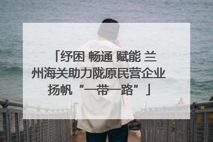 纾困 畅通 赋能 兰州海关助力陇原民营企业扬帆“一带一路”