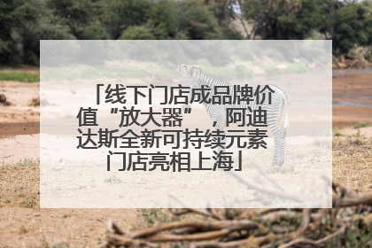 线下门店成品牌价值“放大器”，阿迪达斯全新可持续元素门店亮相上海