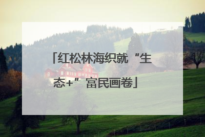 红松林海织就“生态+”富民画卷