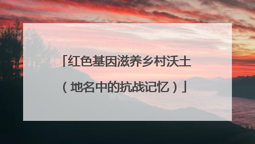 红色基因滋养乡村沃土（地名中的抗战记忆）