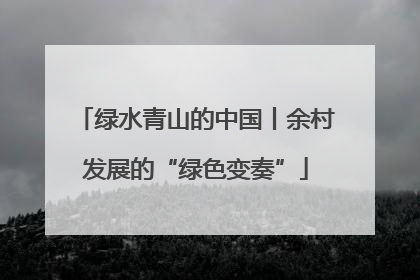 绿水青山的中国丨余村发展的“绿色变奏”