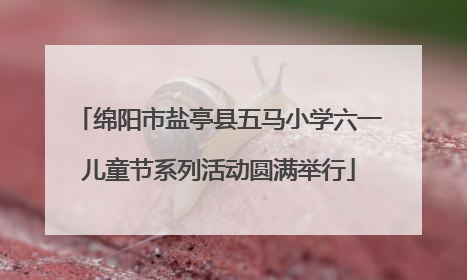 绵阳市盐亭县五马小学六一儿童节系列活动圆满举行