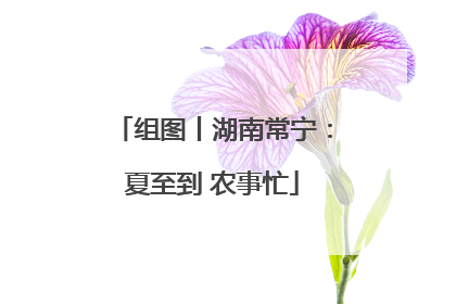 组图丨湖南常宁：夏至到 农事忙