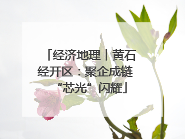 经济地理丨黄石经开区：聚企成链“芯光”闪耀
