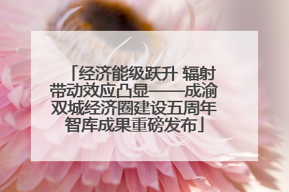 经济能级跃升 辐射带动效应凸显——成渝双城经济圈建设五周年智库成果重磅发布