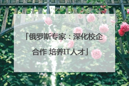 俄罗斯专家：深化校企合作 培养IT人才