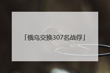 俄乌交换307名战俘