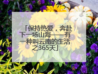 保持热爱，奔赴下一场山海——有一种叫云南的生活之365天