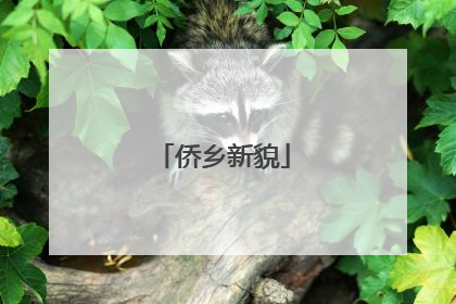 侨乡新貌