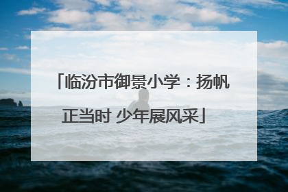 临汾市御景小学：扬帆正当时 少年展风采
