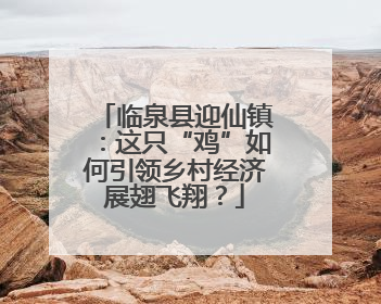 临泉县迎仙镇：这只“鸡”如何引领乡村经济展翅飞翔？