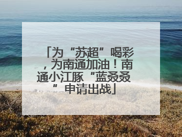 为“苏超”喝彩，为南通加油！南通小江豚“蓝叒叒”申请出战
