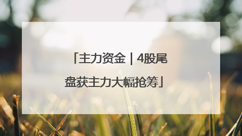 主力资金｜4股尾盘获主力大幅抢筹