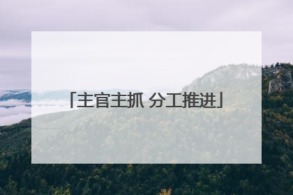 主官主抓 分工推进