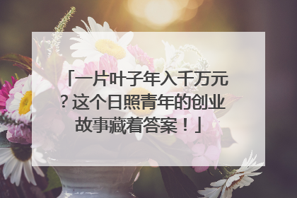 一片叶子年入千万元？这个日照青年的创业故事藏着答案！