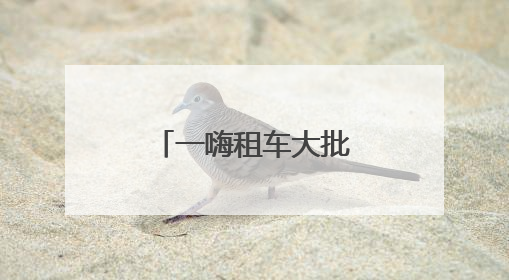 一嗨租车大批新车集结 助力用户美好出行