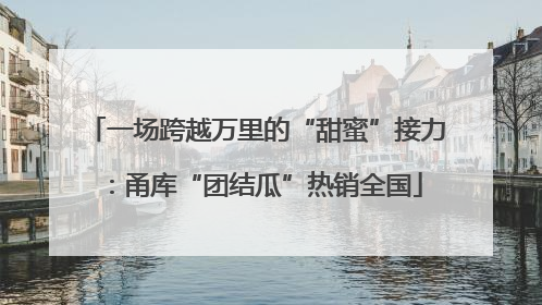 一场跨越万里的“甜蜜”接力：甬库“团结瓜”热销全国