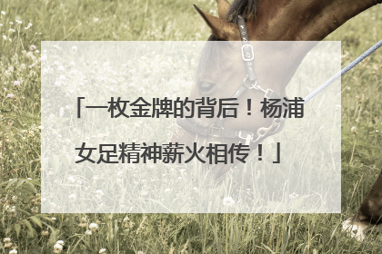 一枚金牌的背后！杨浦女足精神薪火相传！