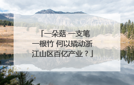 一朵菇 一支笔 一根竹 何以撬动浙江山区百亿产业？