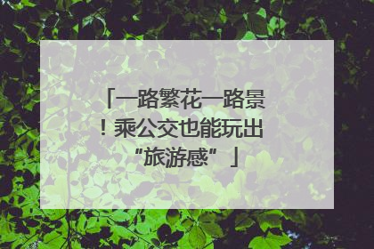 一路繁花一路景！乘公交也能玩出“旅游感”