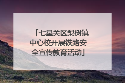 七星关区梨树镇中心校开展铁路安全宣传教育活动