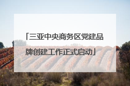 三亚中央商务区党建品牌创建工作正式启动
