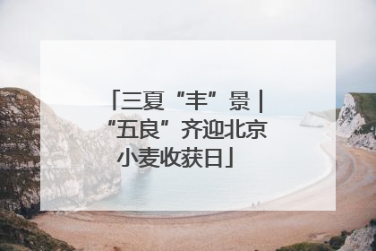 三夏“丰”景｜“五良”齐迎北京小麦收获日