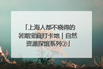 上海人都不晓得的 暑期宝藏打卡地｜自然资源探馆系列②