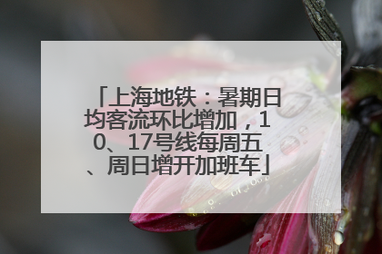 上海地铁：暑期日均客流环比增加，10、17号线每周五、周日增开加班车