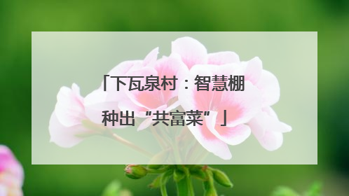 下瓦泉村：智慧棚种出“共富菜”