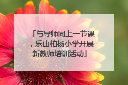 与导师同上一节课，乐山柏杨小学开展新教师培训活动