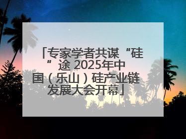 专家学者共谋“硅”途 2025年中国（乐山）硅产业链发展大会开幕